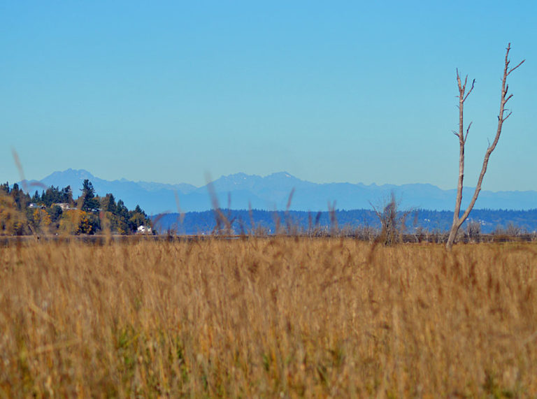 On The Road - Mike in Oly - Snapshots of Western Washington 3