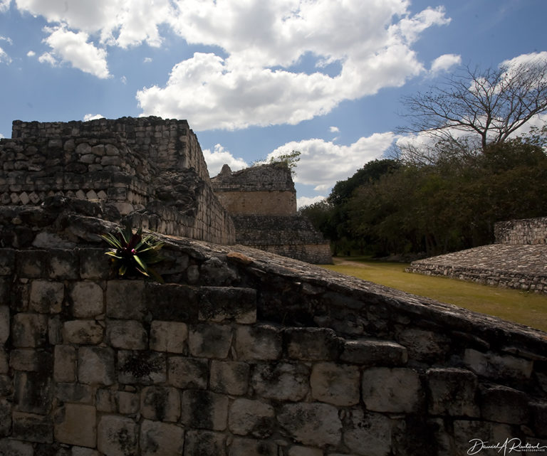 On The Road - Albatrossity - Yucatan #1 8