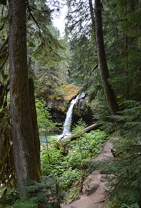 On The Road - Mike in Oly - Snapshots of Western Washington 1