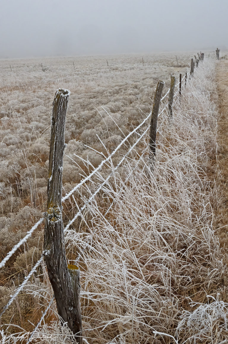 On The Road - Albatrossity - Winter in Flyover Country 5 8