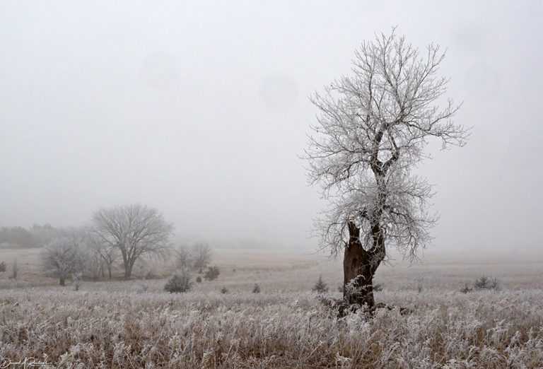 On The Road - Albatrossity - Winter in Flyover Country 5 9