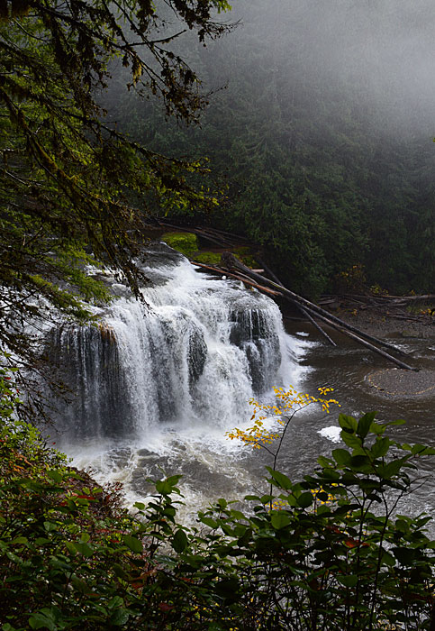 On The Road - Mike in Oly - Snapshots of Western Washington 2