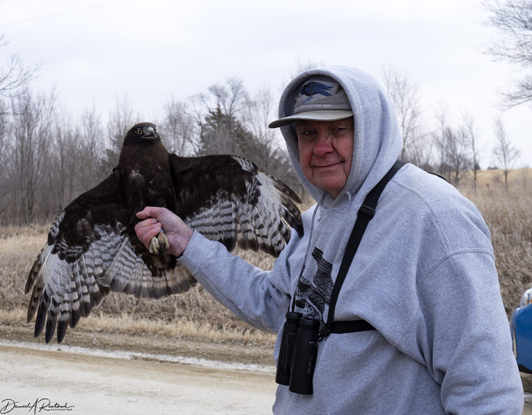 On The Road - Albatrossity - Raptor trapping and banding 1