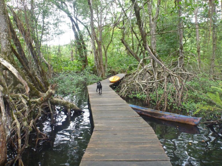 On The Road - way2blue - Isla Bastimentos, Panama 5