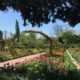 On The Road - MollyS - Monet's gardens at Giverny, the Clos Normand 4