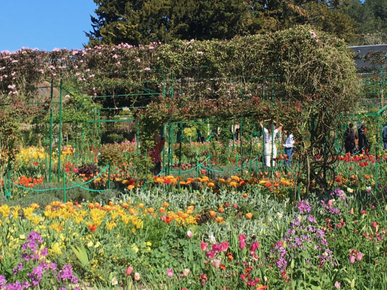 On The Road - MollyS - Monet's gardens at Giverny France, the Clos Normand (2) 4