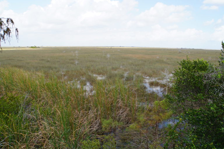 On The Road - frosty - Everglades National Park 2