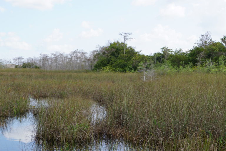 On The Road - frosty - Everglades National Park 4