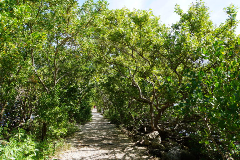 On The Road - frosty - Biscayne National Park 6