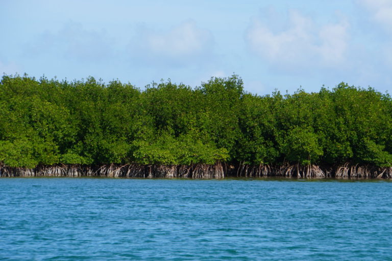 On The Road - frosty - Biscayne National Park 4