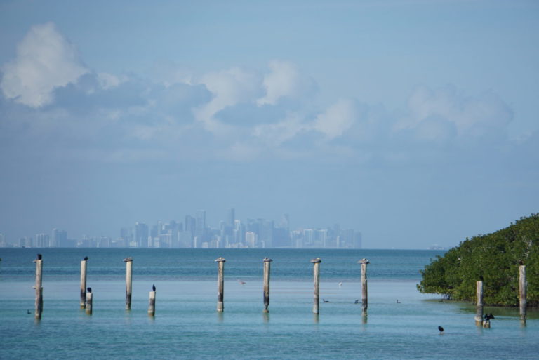On The Road - frosty - Biscayne National Park
