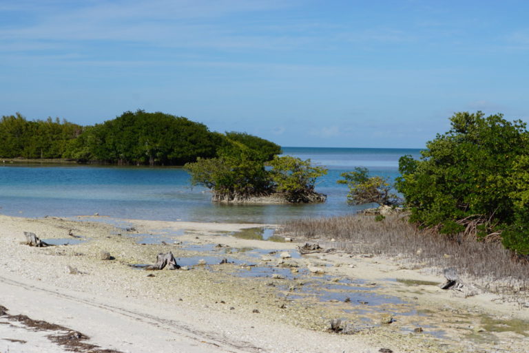 On The Road - frosty - Biscayne National Park 2