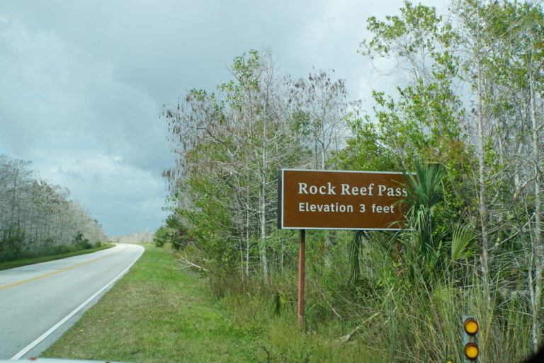 On The Road - frosty - Everglades National Park 5