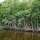 On The Road - frosty - Everglades National Park 1