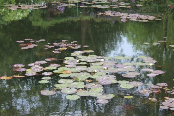 On The Road - randy khan - Springtime in Paris (well, not really) – A Day in Giverny 2
