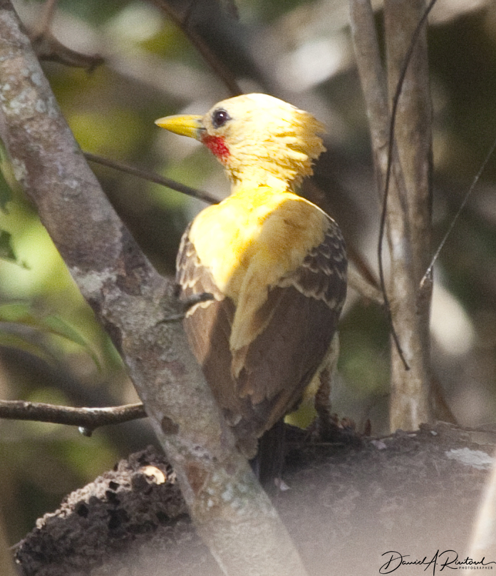 On The Road - Albatrossity - Brazil 2011, part 1 6