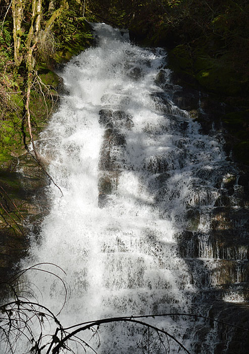 On The Road - Mike in Oly - Waterfalls of Western Washington 2