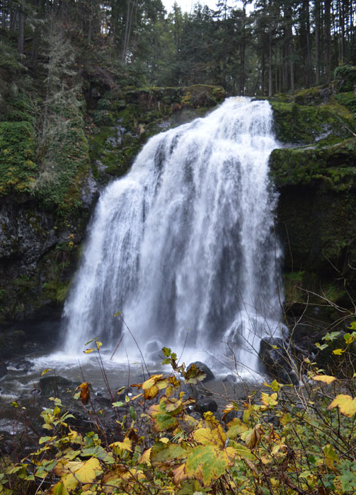 On The Road - Mike in Oly - Waterfalls of Western Washington 3