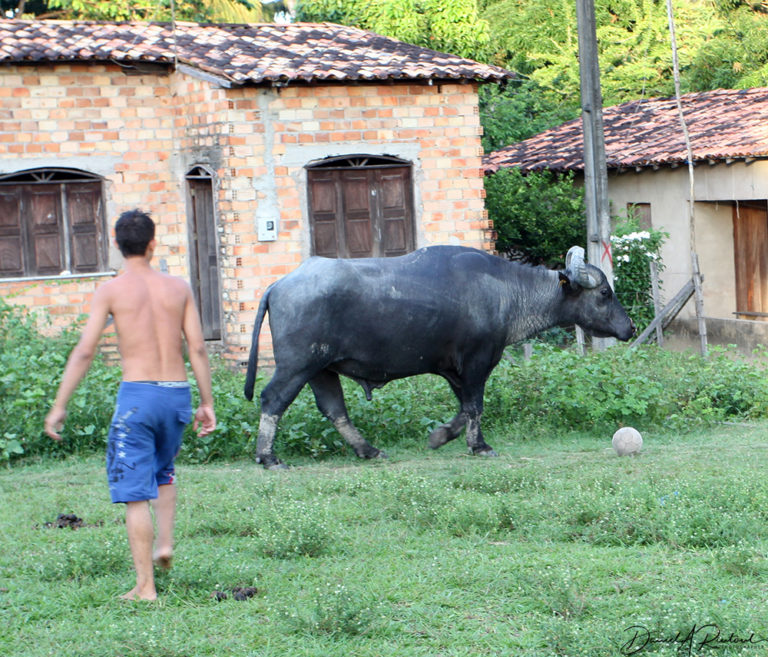 On The Road - Albatrossity - Brazil 2011, part 2 1