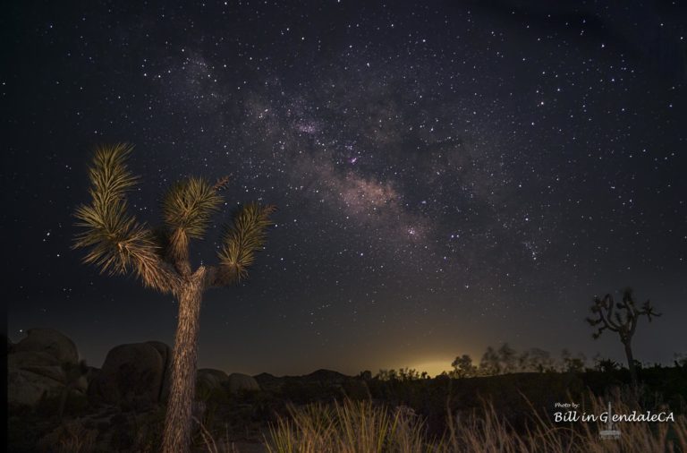 On The Road -  ?BillinGlendaleCA - Before Dawn at Joshua Tree 2