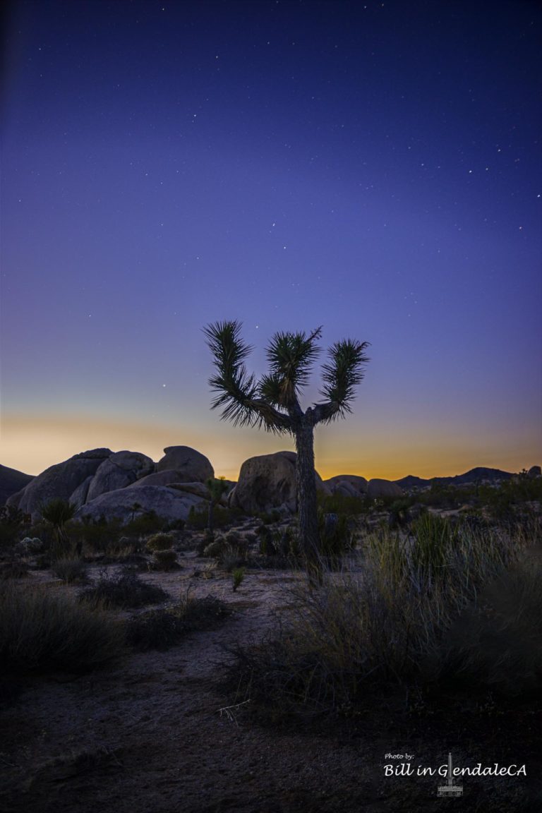 On The Road -  ?BillinGlendaleCA - Before Dawn at Joshua Tree