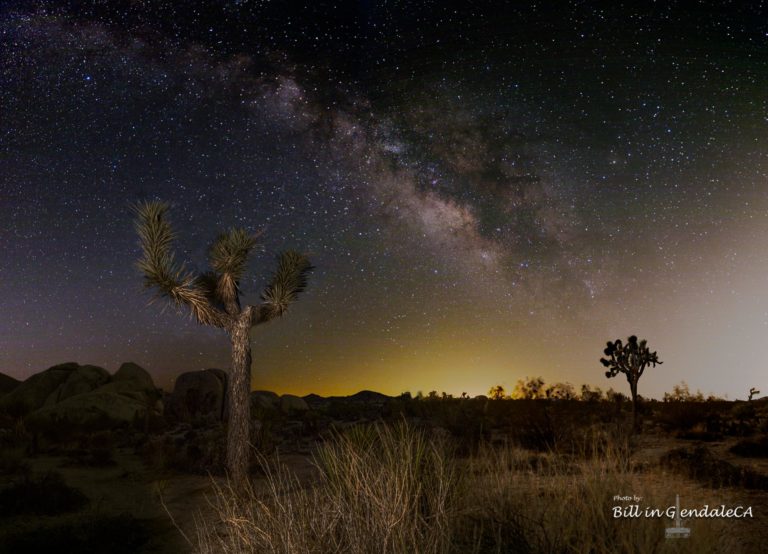 On The Road -  ?BillinGlendaleCA - Before Dawn at Joshua Tree 1