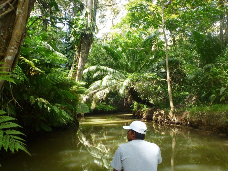 On The Road - way2blue - Nivida Bat Cave, Isla Bastimentos, Panama