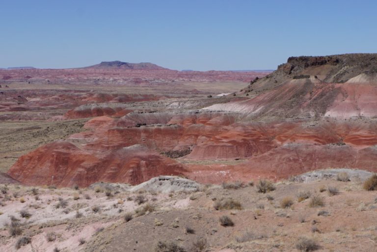 On The Road - frosty - Petrified Forest National Park 1