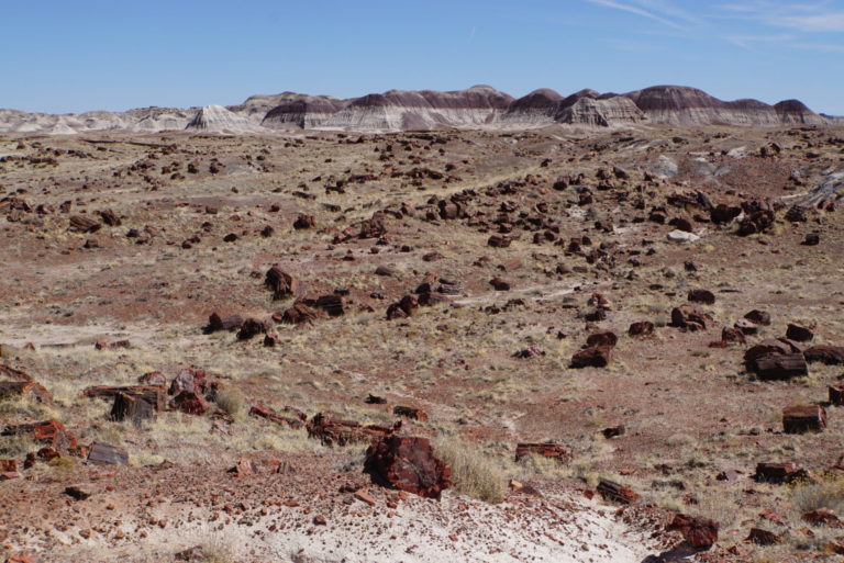 On The Road - frosty - Petrified Forest National Park 6