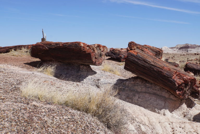 On The Road - frosty - Petrified Forest National Park 4