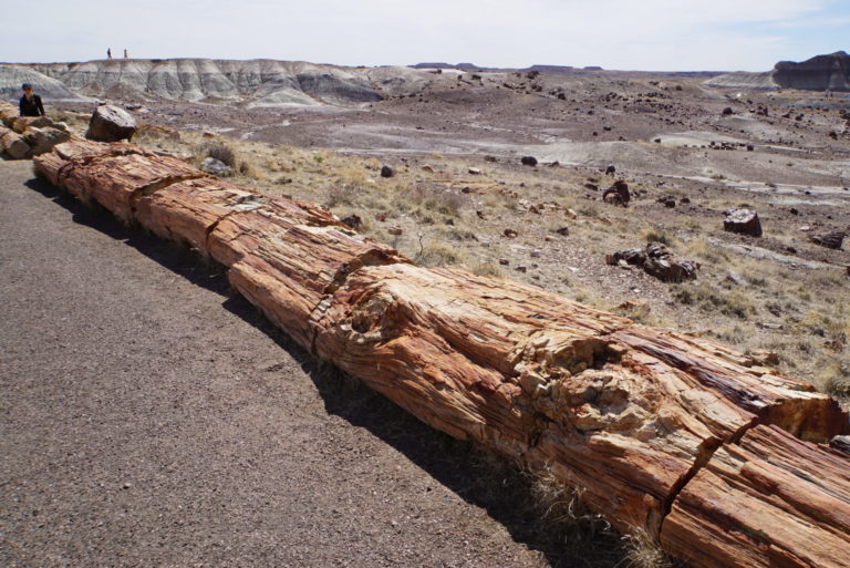 On The Road - frosty - Petrified Forest National Park 3