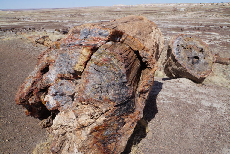 On The Road - frosty - Petrified Forest National Park 5