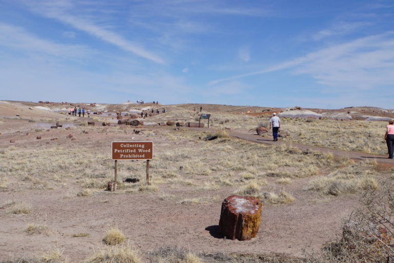 On The Road - frosty - Petrified Forest National Park 7