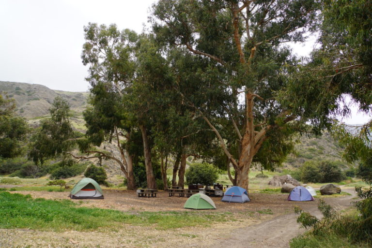 On The Road - frosty - Channel Islands National Park 4