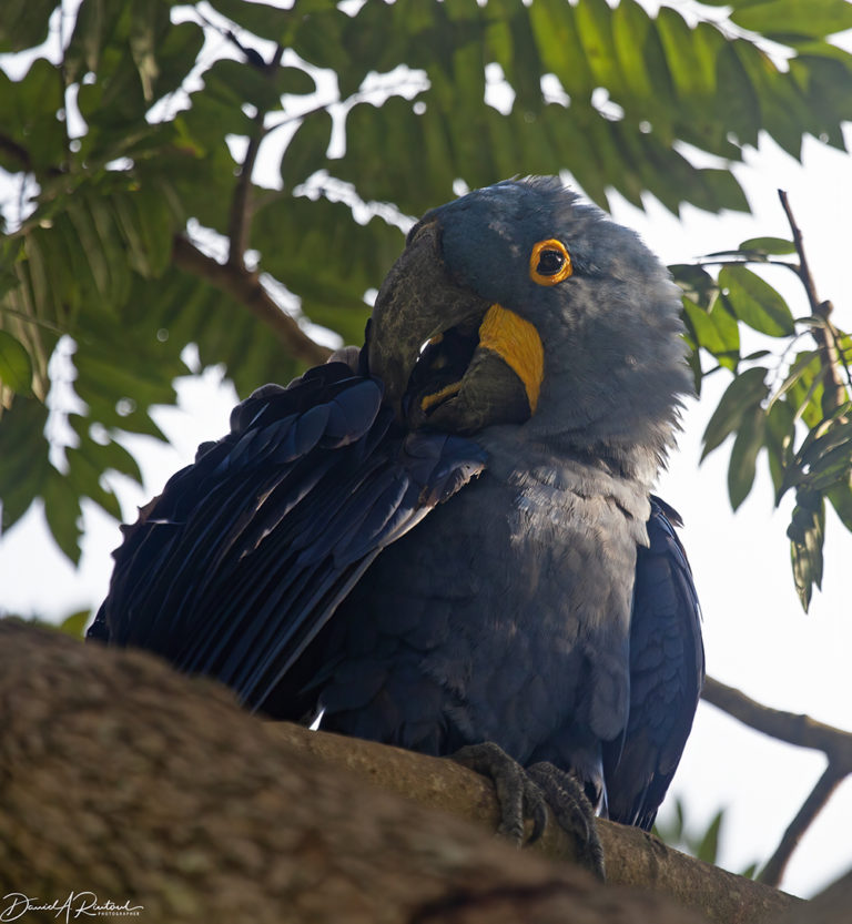 On The Road - Albatrossity - Brazil 2013 - week 1 5