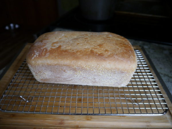Recipe Open Thread: Fool-Proof English Muffin Toasting Bread 1