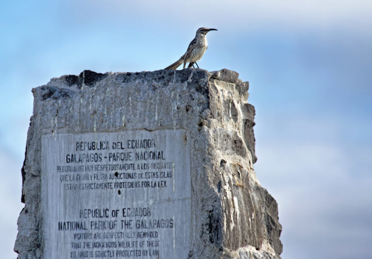 On The Road - arrieve - The Galapagos, part 3 7