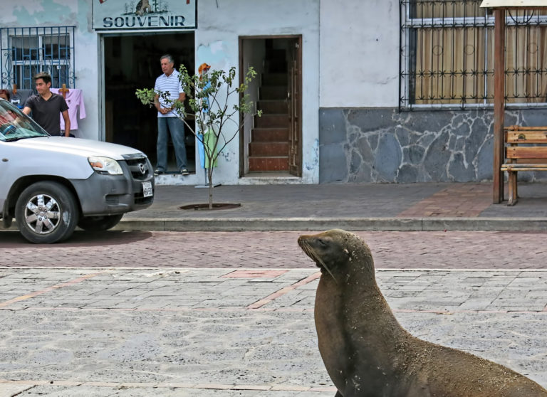 On The Road - arrieve - The Galapagos 7
