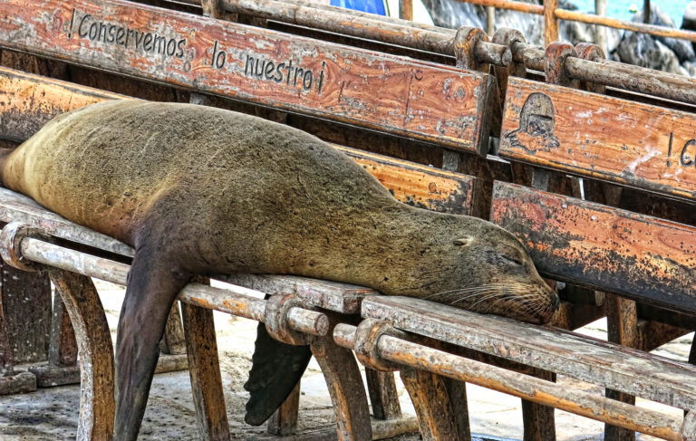 On The Road - arrieve - The Galapagos 6