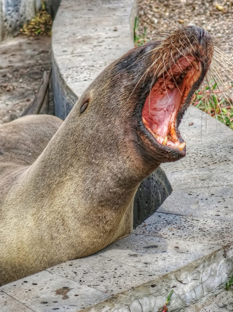 On The Road - arrieve - The Galapagos 5