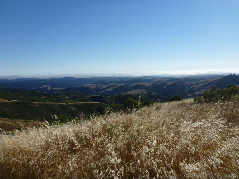 On The Road - way2blue - MY HOME TOWN, CALIFORNIA 4