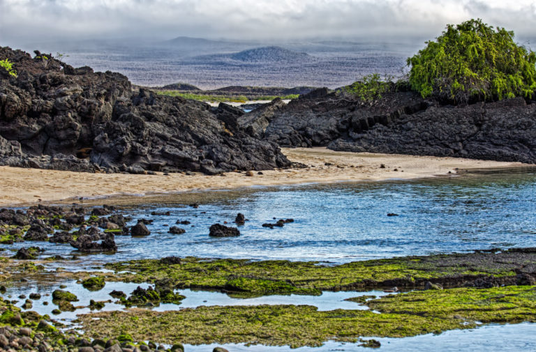 On The Road - arrieve - The Galapagos 4