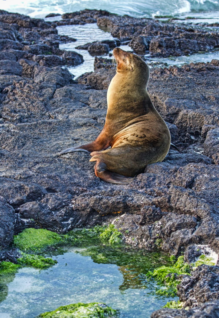 On The Road - arrieve - The Galapagos 2