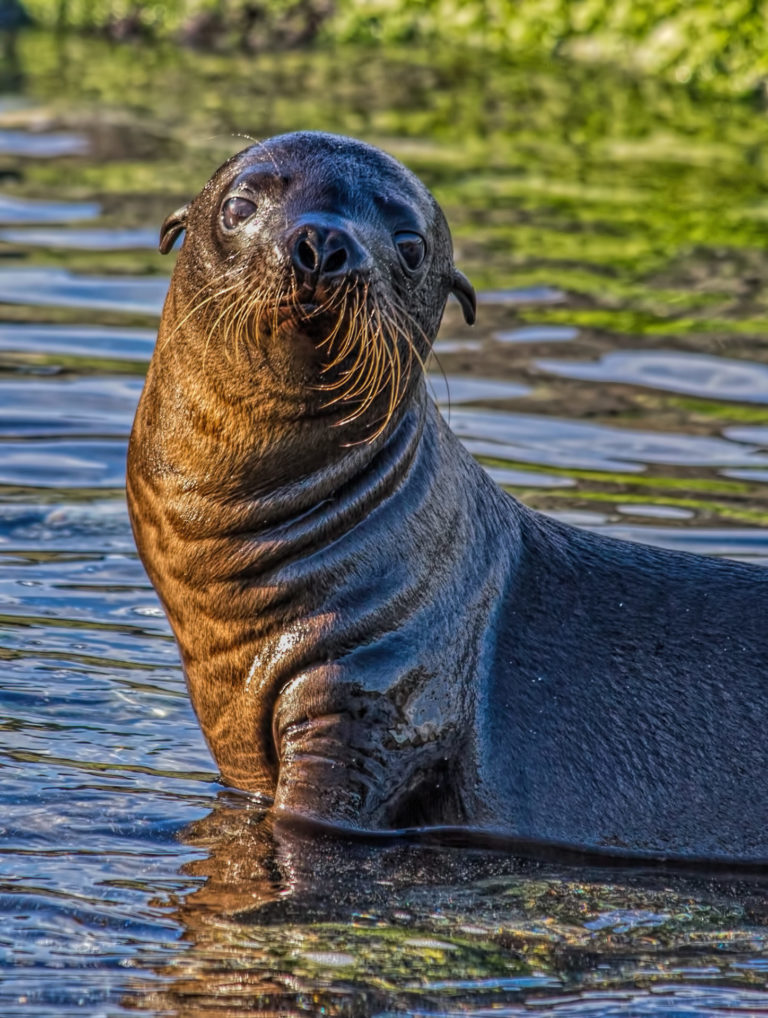 On The Road - arrieve - The Galapagos, part 3 1