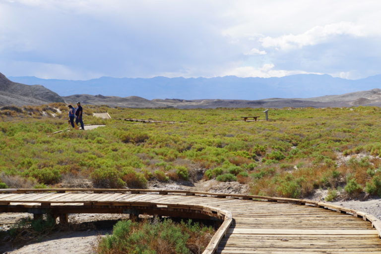 On The Road - frosty - Death Valley National Park 9