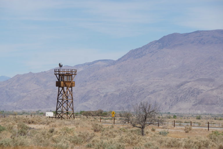 On The Road - frosty - Manzanar National Historic Site 6