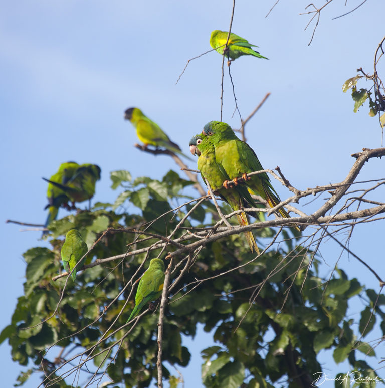 On The Road - Albatrossity - Brazil 2013 - week 3