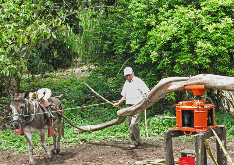 On The Road - arrieve - The Galapagos, part 8 6