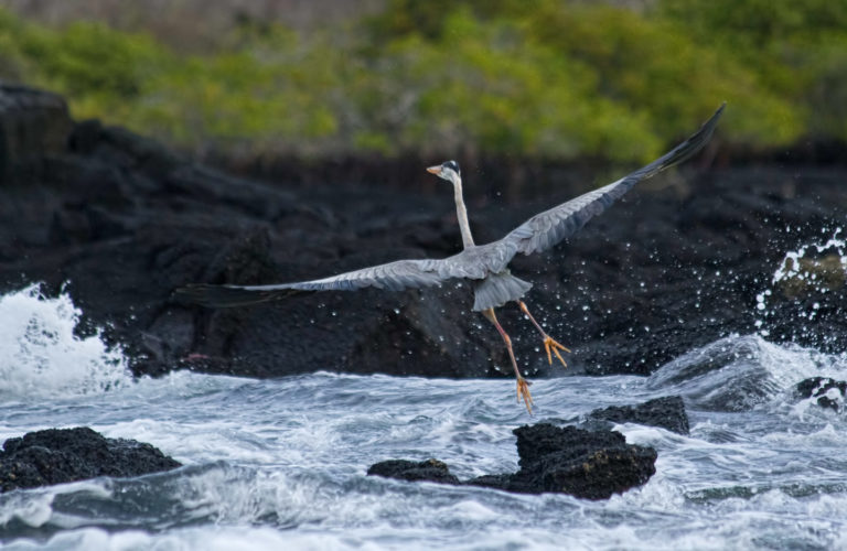 On The Road - arrieve - The Galapagos, part 7 1