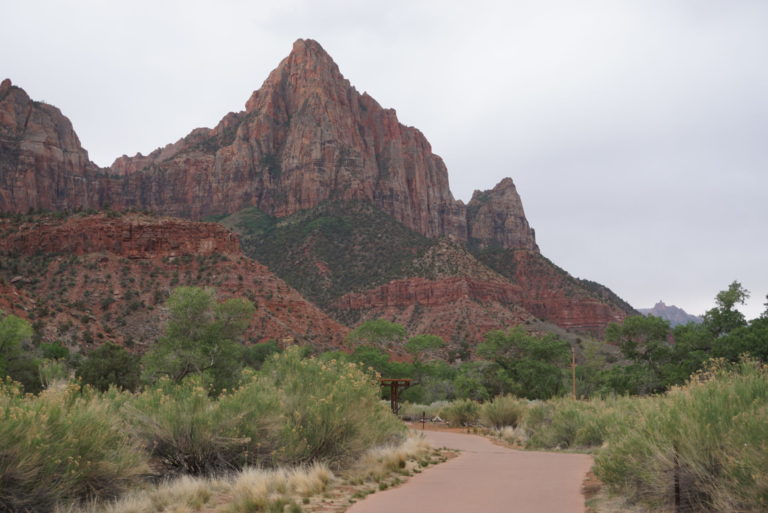 On The Road - frosty - Zion National Park - Zion Canyon 6